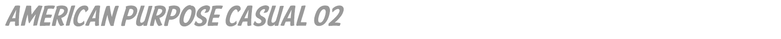 American Purpose Casual 02 font preview